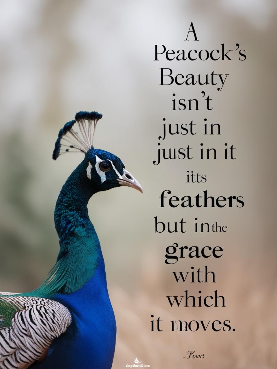 Funny Peacock Captions For Instagram