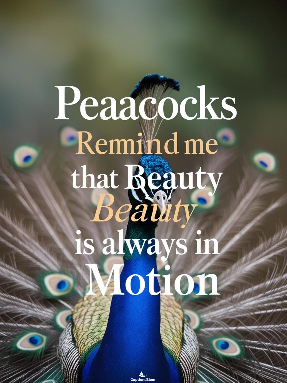 Peacock Quotes For Instagram