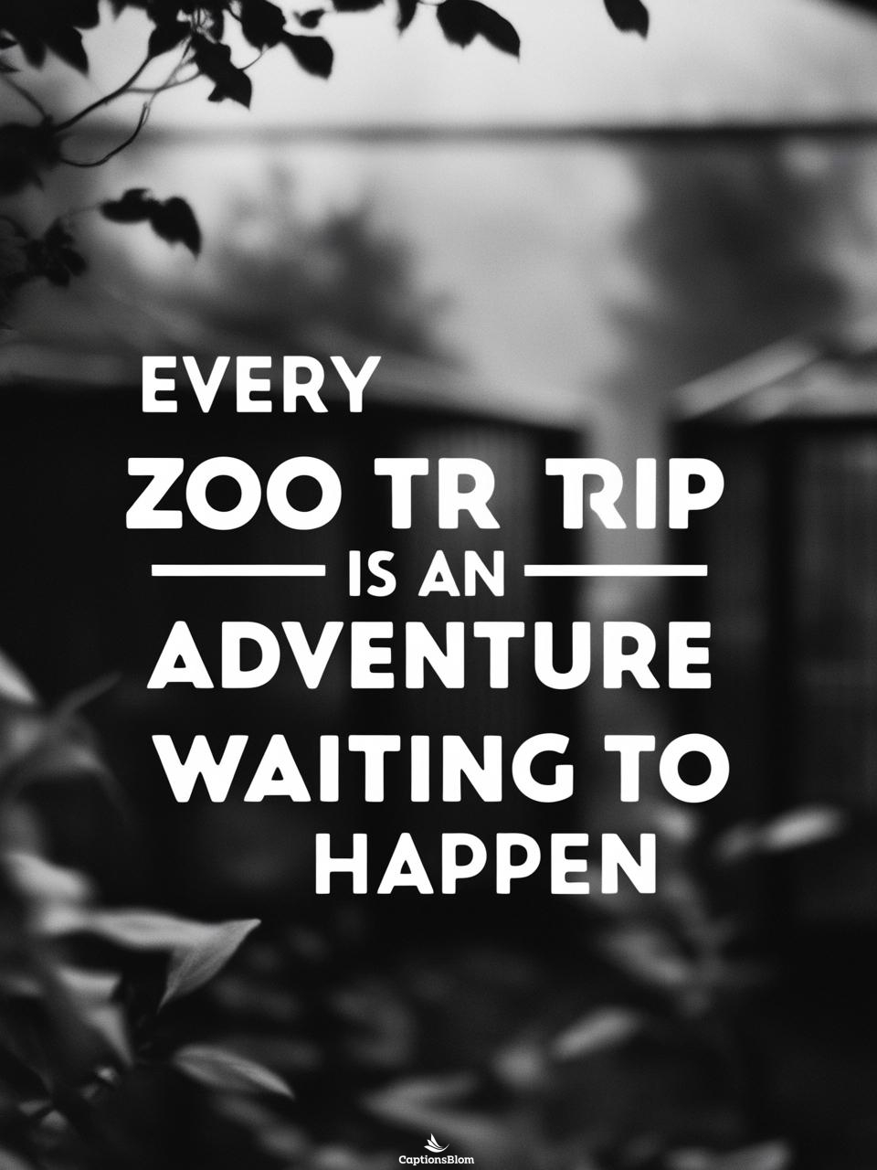 Trending Zoo Captions For Instagram