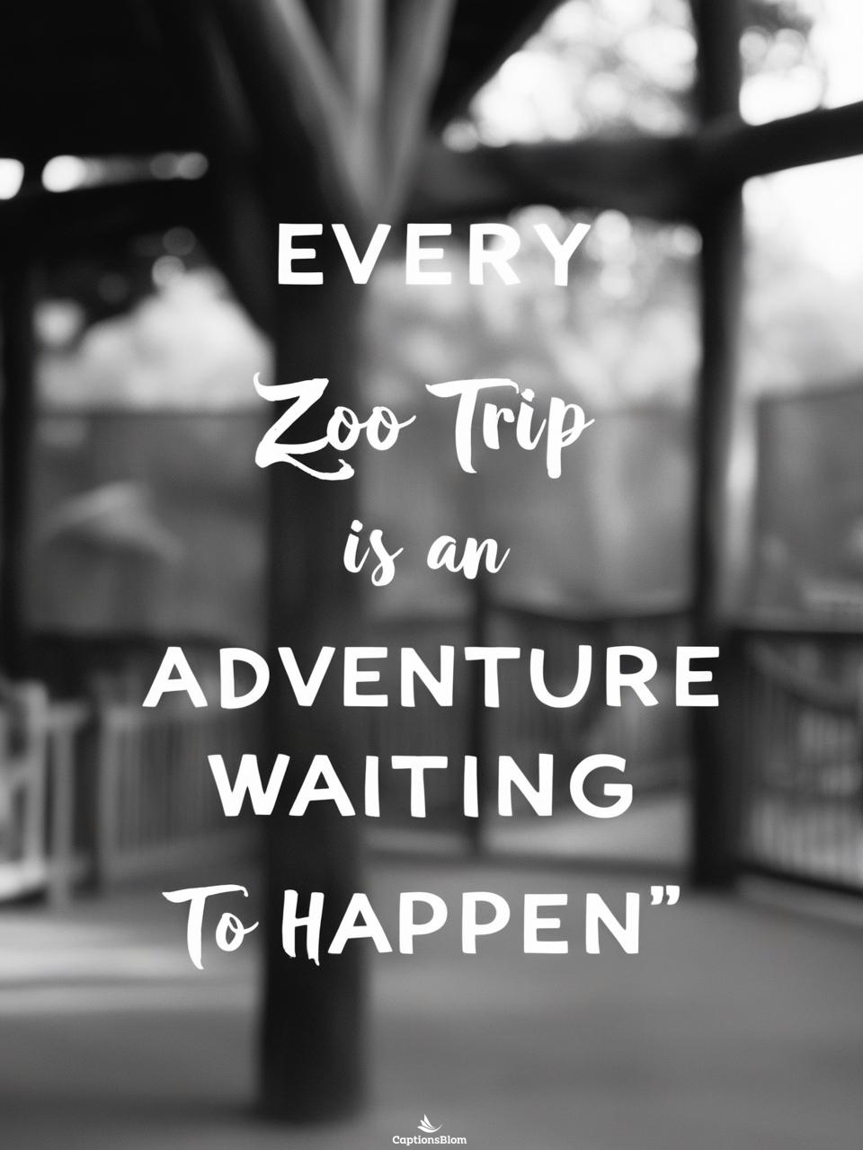 One Word Zoo Captions For Instagram